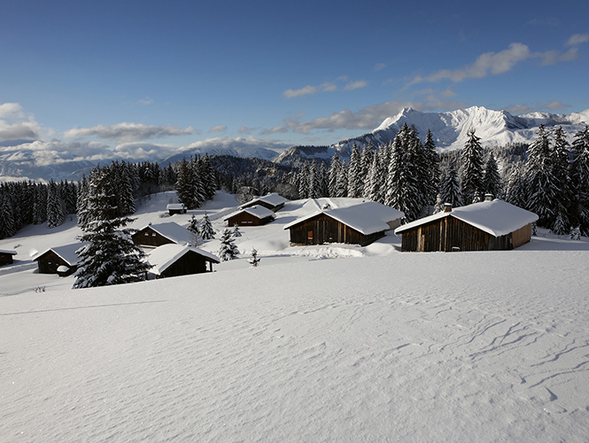 All accommodation